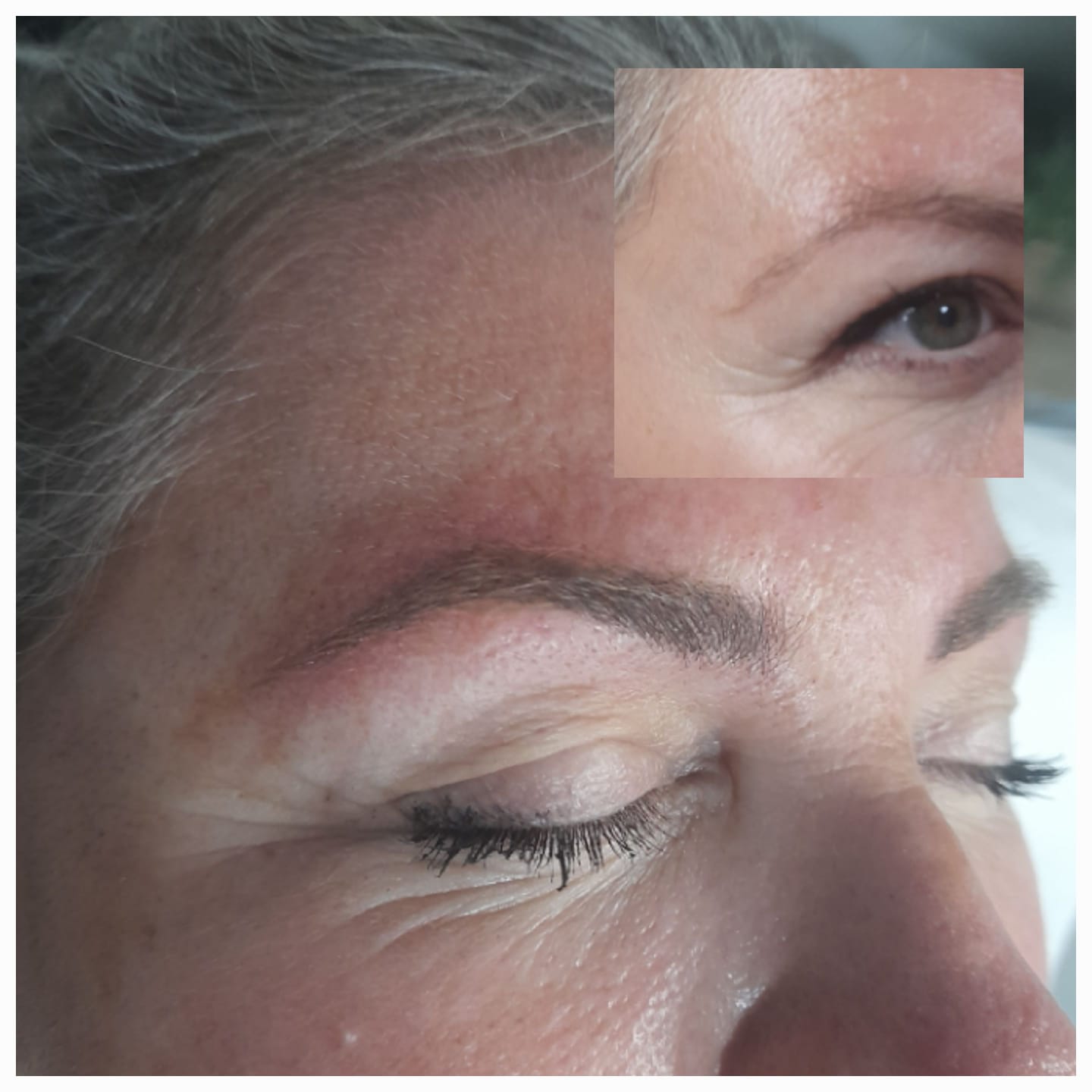 Micropigmentación de Cejas